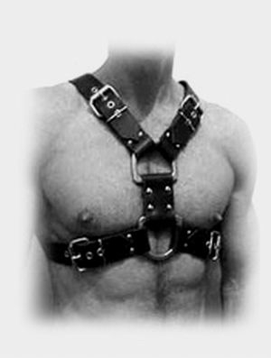 Harness