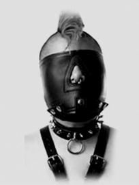 Bondage Hoods