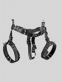 Harness