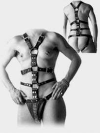 Harness