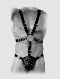 Harness