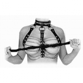 Harness