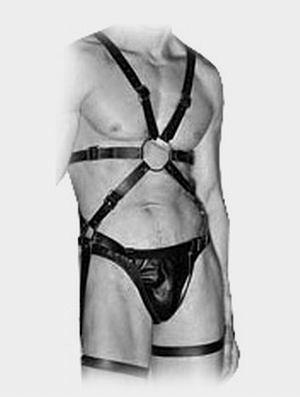 Harness