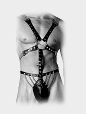 Harness