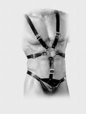 Harness
