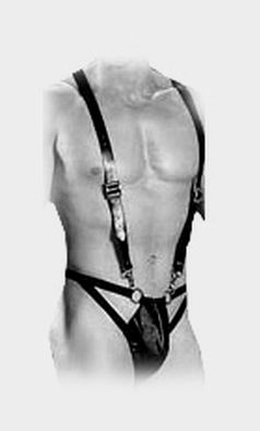 Harness